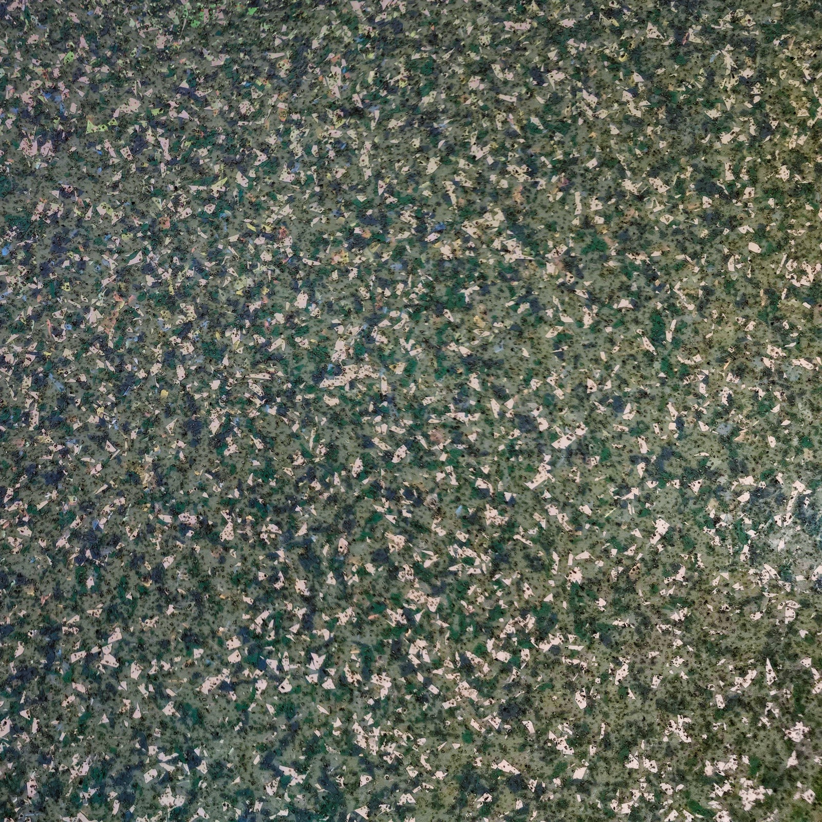 Epoxy Flooring in Rochester Washington Epoxy Flooring
